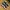 Nike ACG Streetwear Gorpcore Sneakers Pria white black photo 5