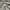 Dickies Casual Sweatshirt Pria gray photo 3