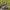 Oakley Vintage Streetwear Hat Pria navy photo 3