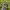 Oakley Vintage Streetwear Hat Pria navy photo 2