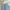 Zara Vintage Y2K Short Pria blue photo 5