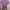 Muslim Maxi dress Wanita pink gray photo 1
