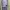 Muslim Maxi dress Wanita gray photo 1