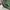 Coach Streetwear Casual Bag Pria green photo 8