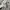 Adidas Casual Sweatshirt Pria gray photo 3