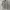 Minimalist Casual Formal shirt Pria multicolor photo 1