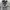 Minimalist Casual Formal shirt Pria multicolor gray photo 2