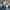 Japanese brand Vintage Y2K Denim jacket Pria navy photo 6
