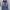 Bobson Grunge Emo Jeans Pria multicolor photo 1