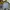 Japanese brand Skater Jeans Pria multicolor photo 6