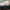 Adidas Streetwear Sportswear Sneakers Pria green orange photo 1