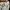 Adidas Streetwear Sportswear Sneakers Pria green orange photo 4