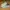Puma Streetwear Sportswear Sneakers Pria multicolor white photo 1
