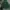 Carhartt Vintage Streetwear Hoody Pria green photo 1