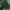 Carhartt Vintage Streetwear Hoody Pria Green