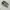 New Balance Casual Sneakers Pria gray photo 2