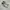 Adidas Casual Sneakers Wanita multicolor photo 2