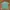 Mountain Hardwear Gorpcore Casual Shirt Pria Green