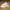 Adidas Streetwear Casual Casual shoe Pria white blue photo 1