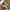 Adidas Streetwear Casual Casual shoe Pria white blue photo 4