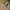 Adidas Streetwear Casual Casual shoe Pria white blue photo 6