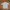 Mammut Gorpcore Casual shirt Pria cream photo 1
