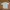 Mammut Gorpcore Casual Shirt Pria Cream