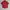 Ocean Pacific Streetwear Y2K T-shirt Pria red photo 3