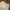 Vintage Casual pants Pria tan photo 4