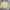 Vintage Casual Harrington jacket Pria khaki cream photo 1
