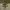 Adidas Sportswear Sneakers Pria yellow photo 1