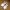 Skechers Streetwear Sportswear Sneakers Pria white photo 3