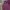Club Monaco Streetwear Luxury Harrington jacket Pria burgundy photo 2