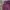 Club Monaco Streetwear Luxury Harrington Jacket Pria Burgundy