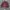 Club Monaco Streetwear Luxury Harrington jacket Pria burgundy photo 8