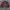 Club Monaco Streetwear Luxury Harrington jacket Pria burgundy photo 6