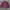 Club Monaco Streetwear Luxury Harrington jacket Pria burgundy photo 1