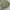 Polo Ralph Lauren Vintage Casual Harrington jacket Pria green photo 8