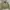 Polo Ralph Lauren Vintage Casual Harrington Jacket Pria Green