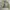 Polo Ralph Lauren Vintage Casual Harrington jacket Pria green photo 6