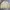 Polo Ralph Lauren Vintage Casual Harrington jacket Pria khaki photo 1