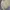 Polo Ralph Lauren Vintage Casual Harrington jacket Pria khaki photo 7