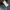 Dickies Vintage Casual Denim jacket Pria blue photo 5