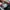 Asics Sportswear Sneakers Pria multicolor photo 5