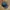 Obey Streetwear Skater Hat Pria navy photo 3