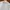 Uniqlo Vintage Casual Casual shirt Pria white navy photo 2