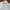 Uniqlo Vintage Casual Casual Shirt Pria White Navy