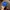 thisisneverthat Streetwear Skater Hat Pria blue photo 1
