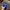 Thisisneverthat Streetwear Skater Hat Pria Blue