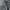 Louis Vuitton Streetwear Y2K Jeans Pria green blue photo 7